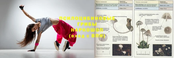 сатива Белоозёрский