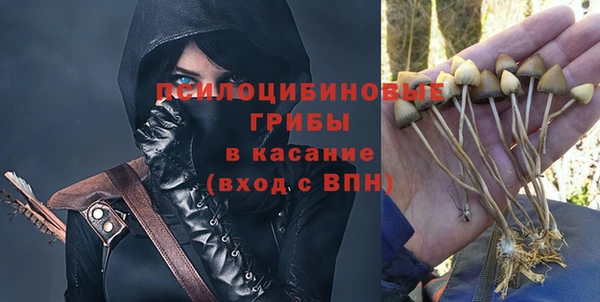 марки nbome Белокуриха